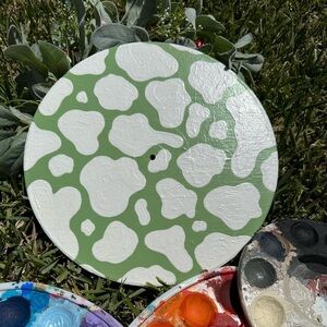 Painted Vinyl